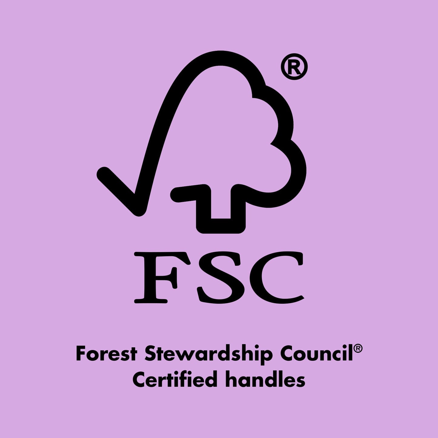 ten-out-of-ten-brush-kit-k0 0423_EDUCATION_FSC_EVERGREEN.jpg