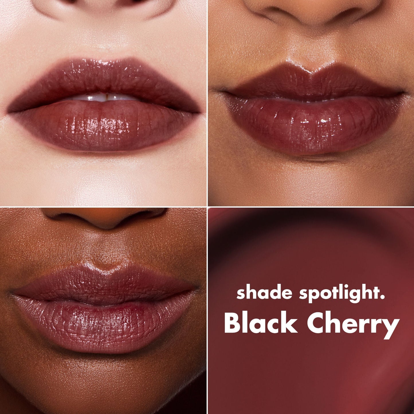 lip-lacquer-n0 0426_EDU_LipLaquer_ShadeChart_BlackCherry.jpg