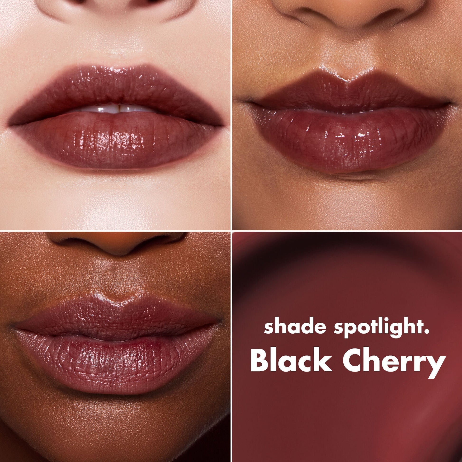 lip-lacquer-n0 0426_EDU_LipLaquer_ShadeChart_BlackCherry.jpg