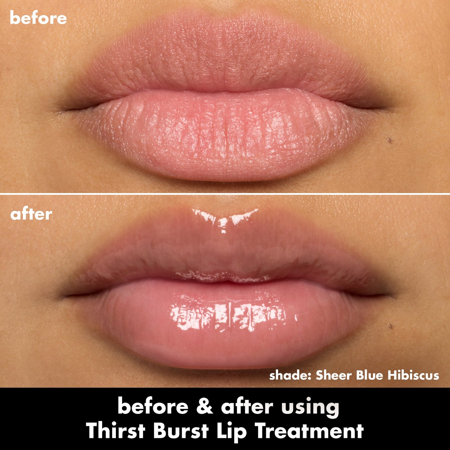 thirst-burst-lip-treatment-d0 0526_SEO_ThirstBurstLipTreatment_BA_SheerBlueHibiscus.jpg