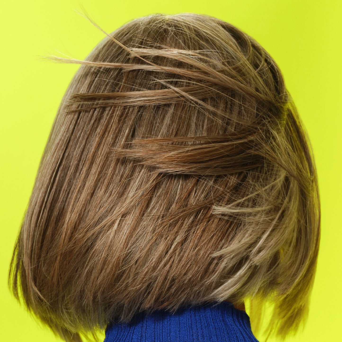 frizz-to-rizz-trio-n2 111725_Vicky_HumidityAntifrizz-Editorial_0538_w2QC_IGF_1x1_05a09617-4ccf-44a2-8545-199321a503e1.jpg