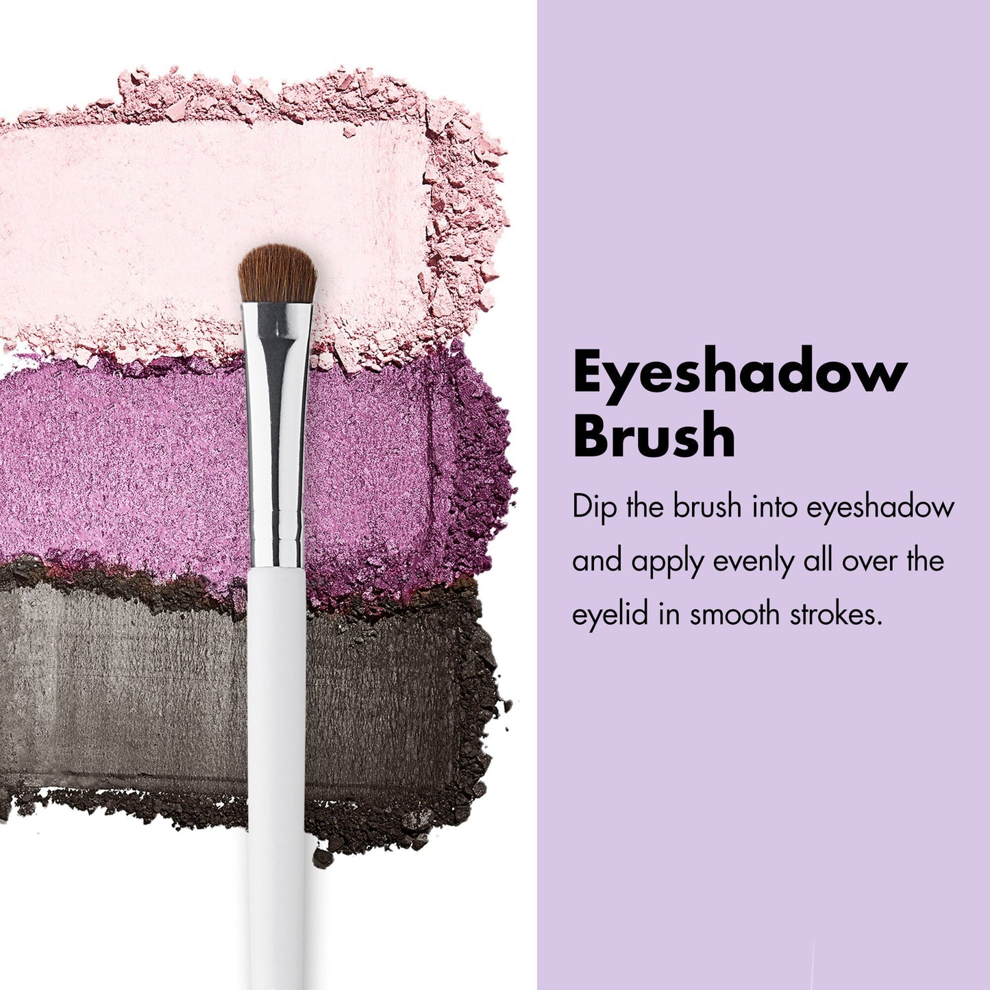 professional-set-of-12-makeup-brushes-u5 ProfessionalBrushes_Eye_EyeshadowBrush_PDP_Edu_2000x2000_2418e3b8-bb65-4e6d-af53-e6d0aab002ae.jpg